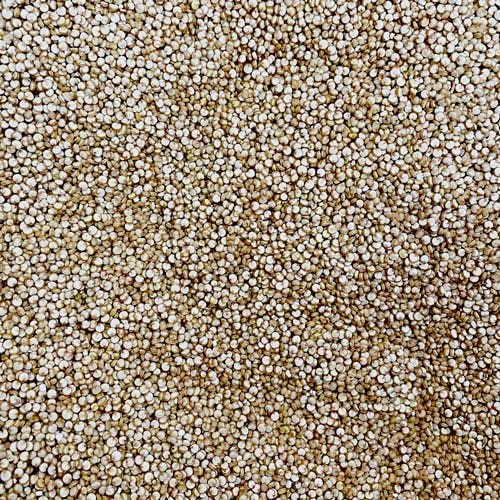 Quinoa blanca nacional ecológica