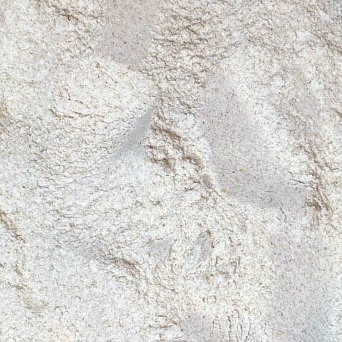 Organic whole wheat flour